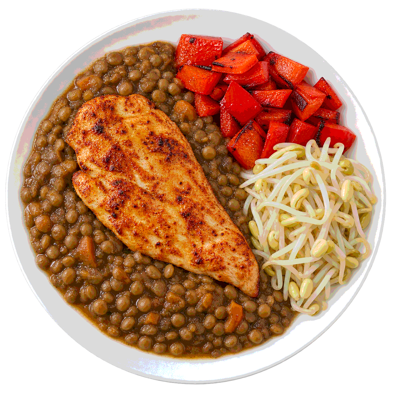 Guiso casero de lentejas con pollo al pimentón